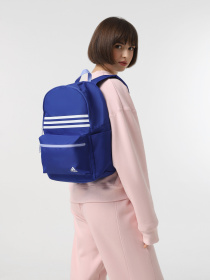 Рюкзак Adidas LK Classic 21L модель JF1178 Фото