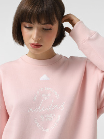 Світшот Adidas BLUV Q3 модель IY1455 Фото