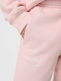 Спортивні штани Adidas BLUV Q3 модель IY1472 Фото