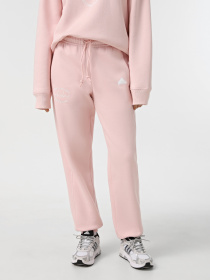 Спортивні штани Adidas BLUV Q3 модель IY1472 Фото