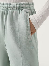 Спортивні штани Adidas PREMIUM ESSENTIALS WASHED LOOS модель IY7398 Фото