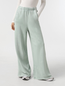 Спортивні штани Adidas PREMIUM ESSENTIALS WASHED LOOS модель IY7398 Фото