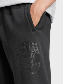 Штани спортивні Adidas VRCT 1 модель IZ2565 Фото