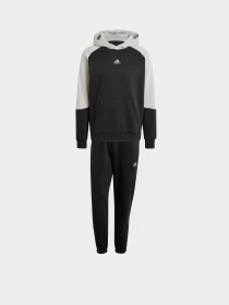 Спортивний костюм Adidas Sportswear Fleece Colorblock модель IY0300 Фото