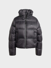 Демисезонная куртка Adidas ORIGINALS REGEN DOWN PUFF модель IW8368 Фото