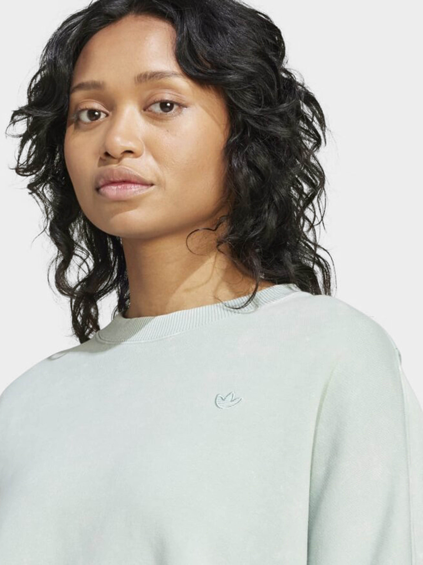 Свитшот Adidas Premium Essentials Washed Oversized модель IY7396 Фото