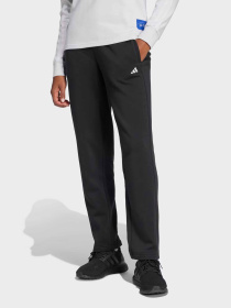 Штаны спортивные Adidas Essentials Small Logo модель IW0221 Фото