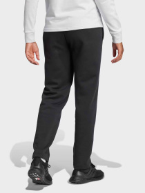 Спортивні штани Adidas ESSENTIALS SMALL LOGO модель IW0221 Фото