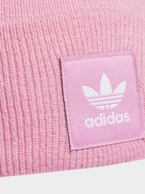 Шапка Adidas Adicolor Originals модель HM1710 Фото