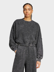 Свитшот Adidas Premium Essentials Washed Oversized модель IW5756 Фото