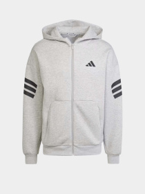 Худі та світшоти Adidas FUTURE ICONS 3-STRIPES SPORTSW модель JD4828 Фото