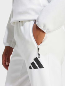 Джоггеры Adidas Z.N.E. Sportswear модель JE7843 Фото