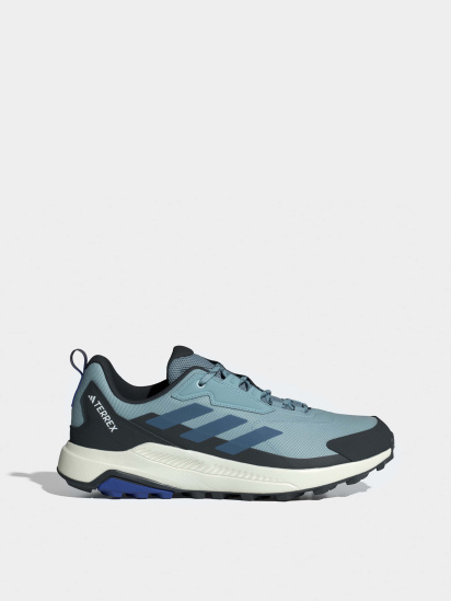 Кросівки adidas Terrex Anylander модель JI1315 - фото