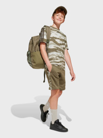 Рюкзак Adidas Classic Back-to-School 3-Stripes 27,5L модель IS7042 Фото