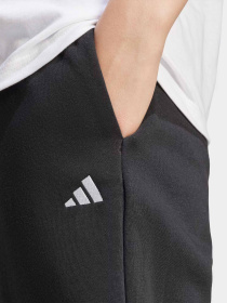 Штаны спортивные Adidas Essentials Small Logo модель JC5921 Фото