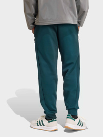 Штаны спортивные Adidas Z.N.E. Sportswear модель JW4724 Фото