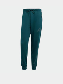 Штаны спортивные Adidas Z.N.E. Sportswear модель JW4724 Фото