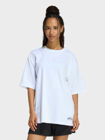 Футболка Adidas MINI EMBROIDERY OVERSIZED GRAP модель KA5086 Фото