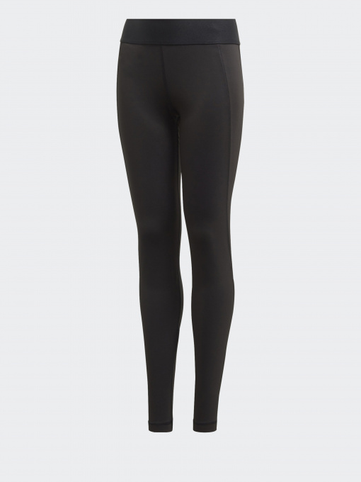 Спортивные леггинсы Adidas Alphaskin Performance модель FM5850 Фото