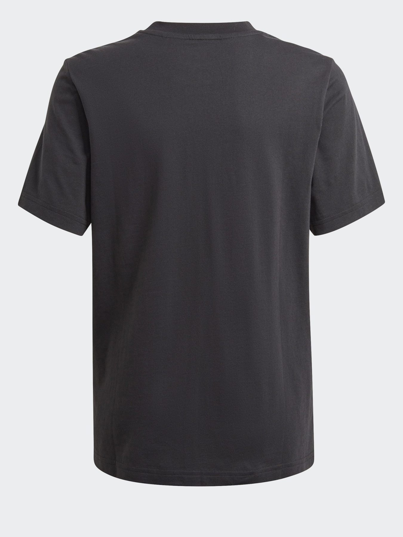 Футболка Adidas GRAPHIC LOGO PRINT модель GN7405 Фото