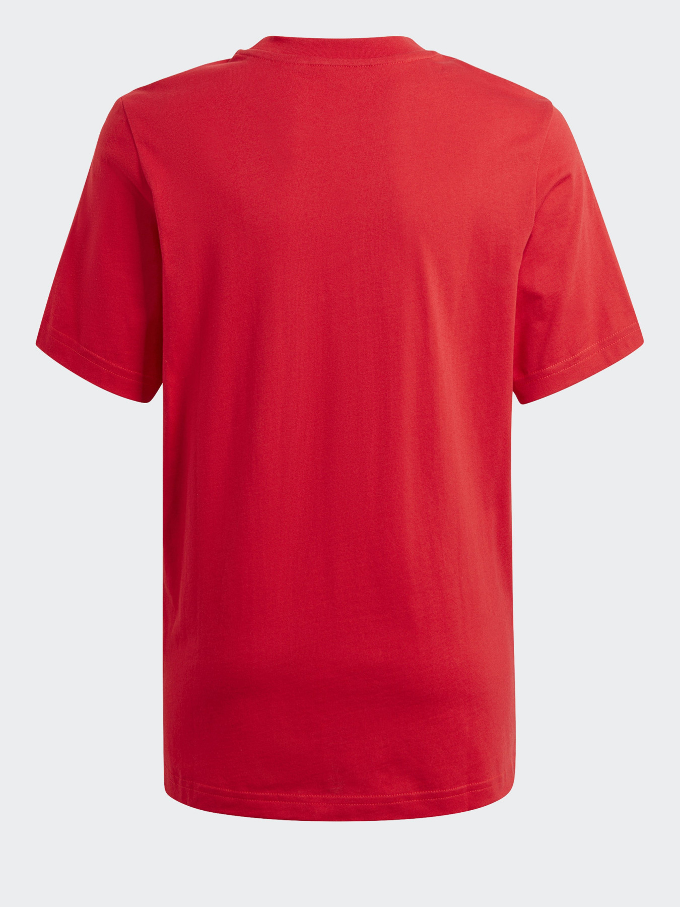 Футболка Adidas GRAPHIC LOGO PRINT модель GN7407 Фото