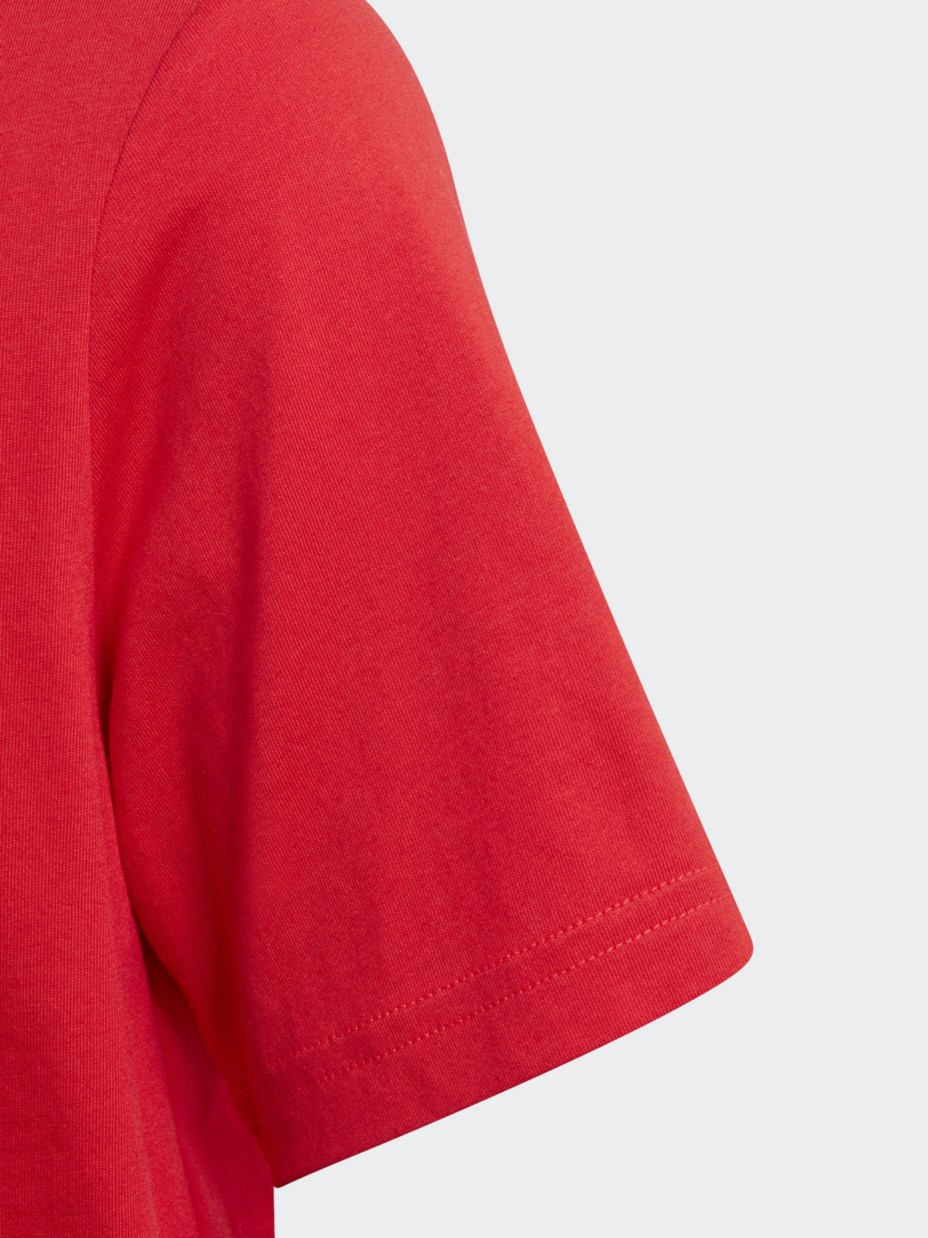 Футболка Adidas GRAPHIC LOGO PRINT модель GN7407 Фото