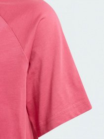 Футболка Adidas Originals Adicolor Graphic модель GN7436 Фото