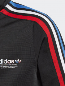 Кофта спортивная Adidas ADICOLOR модель GN7482 Фото