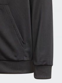 Кофта спортивная Adidas ADICOLOR модель GN7482 Фото