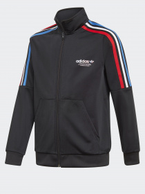 Кофта спортивная Adidas ADICOLOR модель GN7482 Фото