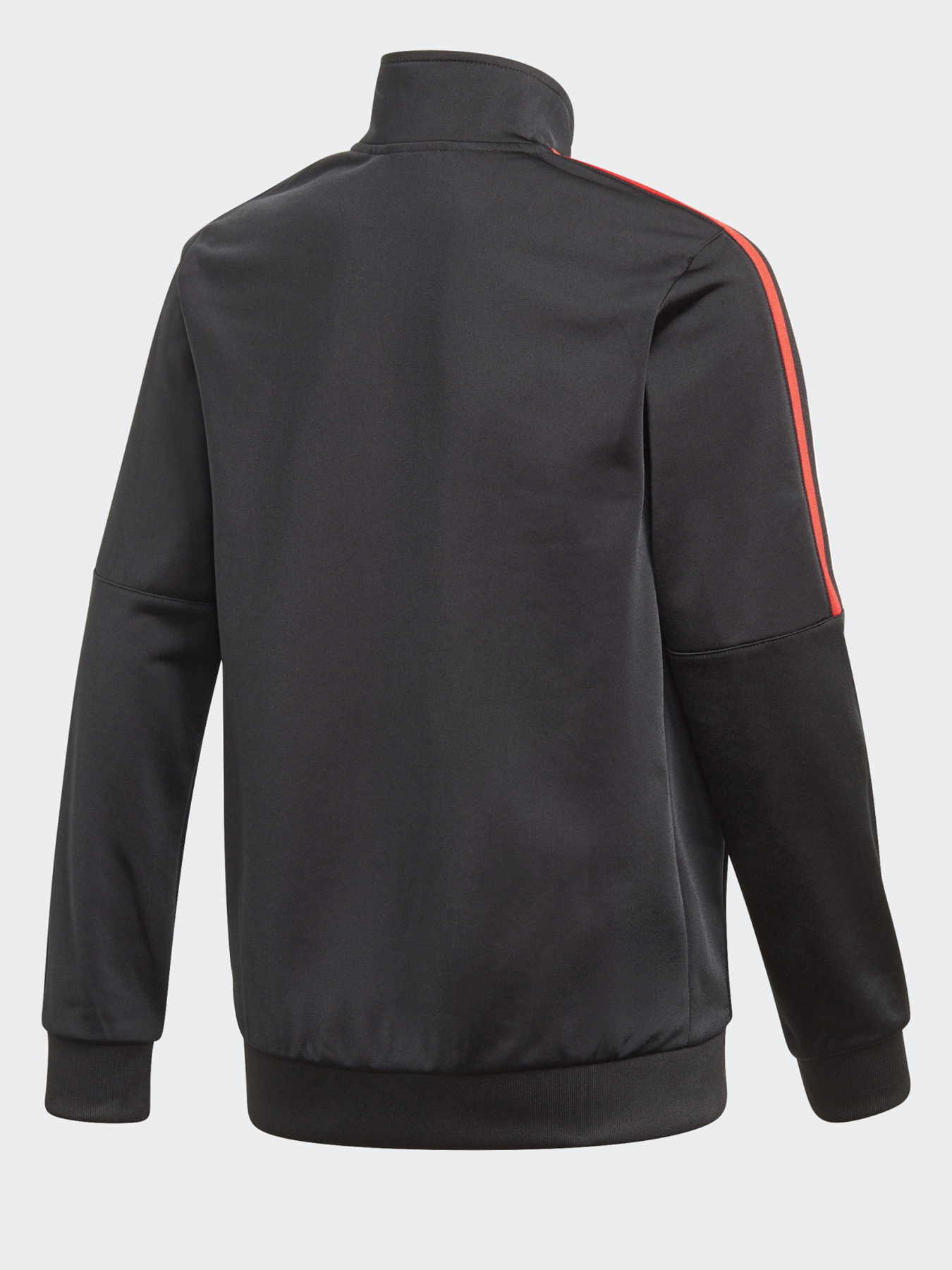 Спортивная кофта Adidas ADICOLOR модель GN7482 Фото