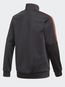 Спортивная кофта Adidas ADICOLOR модель GN7482 Фото