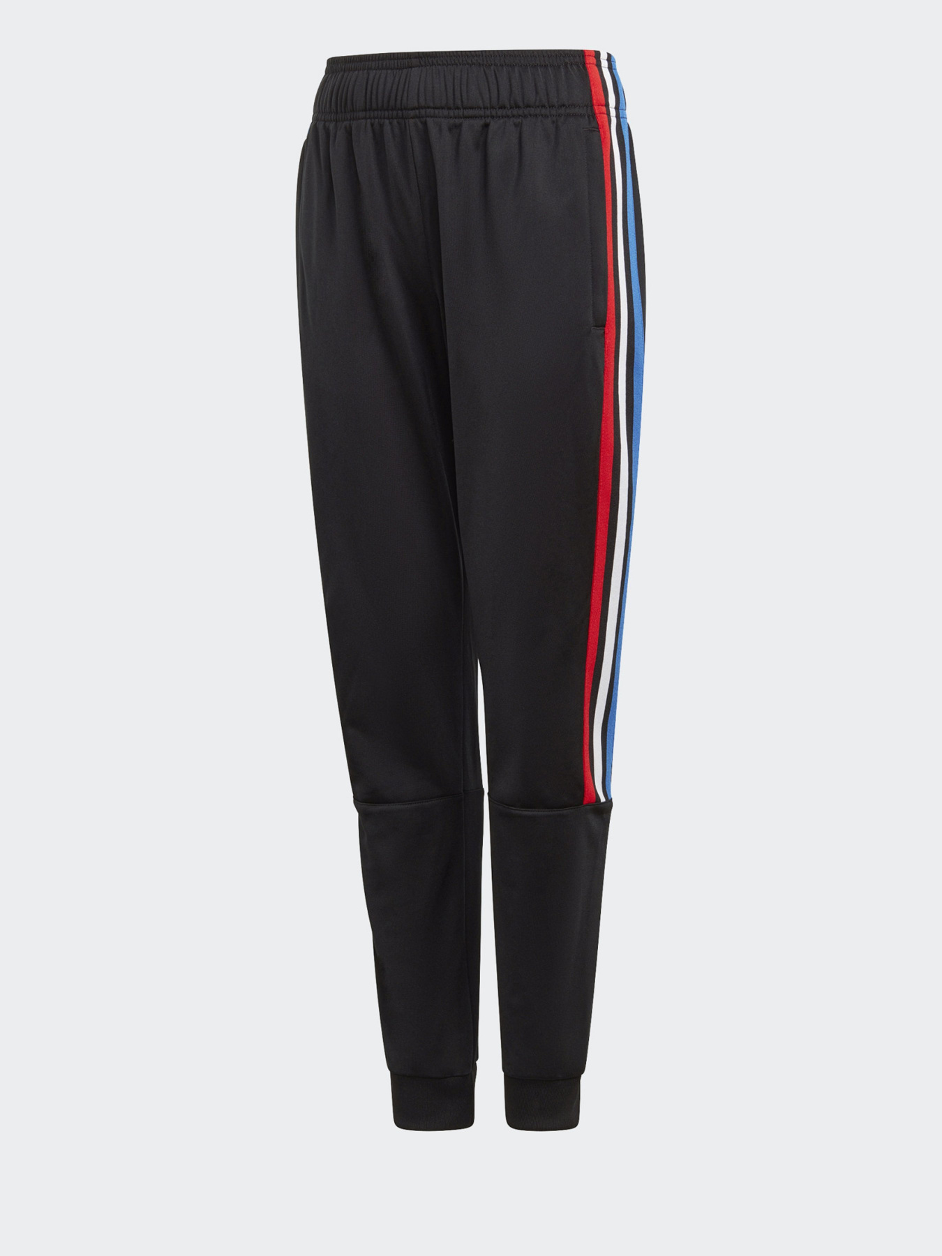 Штаны спортивные Adidas ADICOLOR модель GN7485 Фото