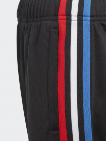 Штаны спортивные Adidas ADICOLOR модель GN7485 Фото