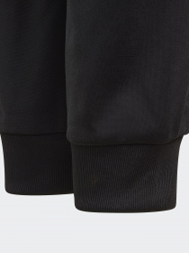 Штаны спортивные Adidas ADICOLOR модель GN7485 Фото