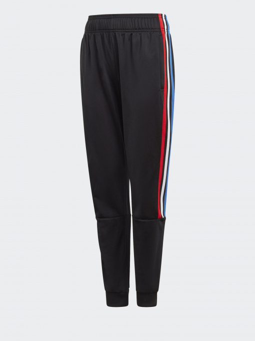 Штаны спортивные Adidas ADICOLOR модель GN7485 Фото
