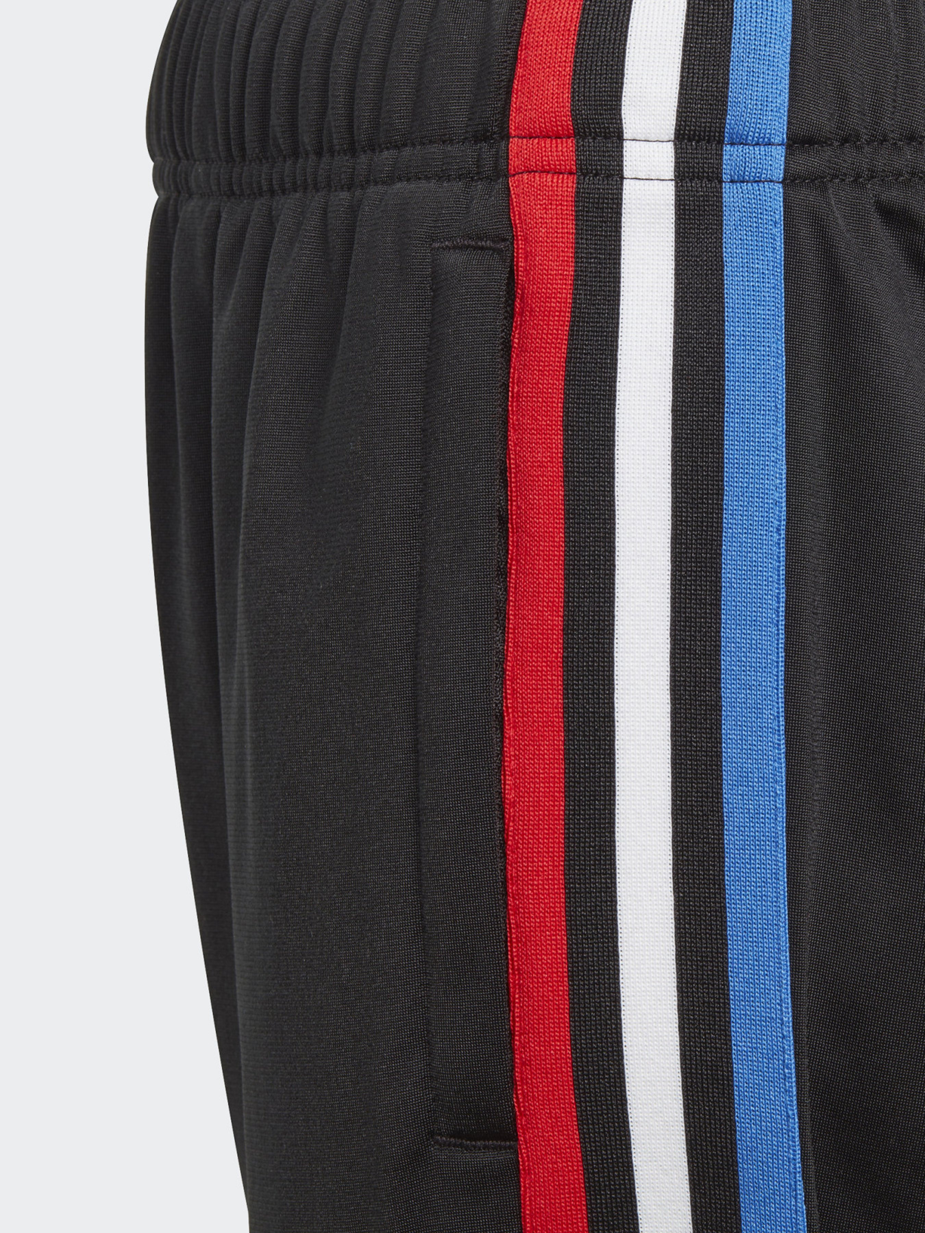 Штаны спортивные Adidas ADICOLOR модель GN7485 Фото