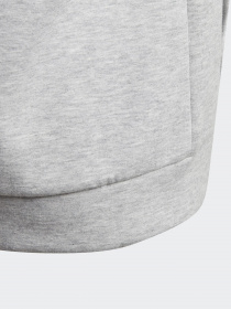 Кофта спортивная Adidas 3-Stripes Sportswear модель GE0662 Фото