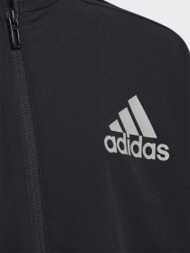 Кофта спортивна Adidas Street Sportswear модель GP0735 Фото