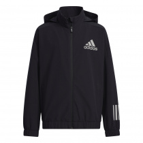 Спортивна кофта Adidas Street Sportswear модель GP0735 Фото