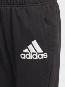 Штаны спортивные Adidas Badge of Sport Sportswear модель GJ6625 Фото