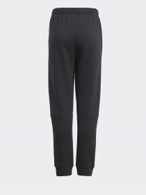 Штаны спортивные Adidas Stadium Sportswear модель GJ6664 Фото