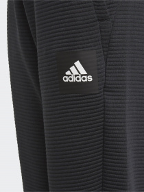 Штаны спортивные Adidas Stadium Sportswear модель GJ6664 Фото