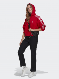 Худи Adidas ADICOLOR CLASSICS модель GN2892 Фото