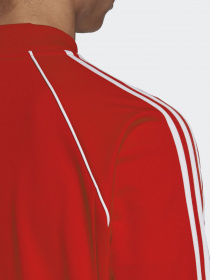 Кофта спортивная Adidas ADICOLOR CLASSICS PRIMEBLUE SST модель GF0196 Фото