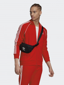 Кофта спортивная Adidas ADICOLOR CLASSICS PRIMEBLUE SST модель GF0196 Фото