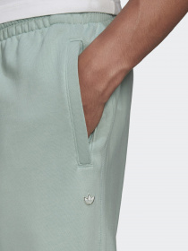 Штаны спортивные Adidas Adicolor Premium модель GN3368 Фото