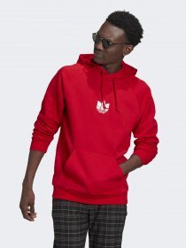 Худи Adidas ADICOLOR 3D TREFOIL GRAPHIC модель GN3554 Фото