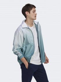 Кофта спортивна Adidas ADICOLOR 3D TREFOIL OMBRÉ модель GN3589 Фото