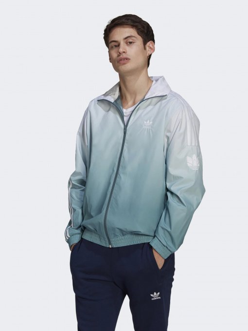 Кофта спортивная Adidas ADICOLOR 3D TREFOIL OMBRÉ модель GN3589 Фото